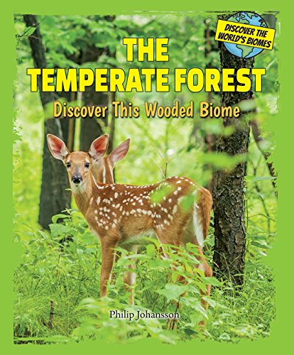 The Temperate Forest: Discover This Wooded Biome by Philip Johansson