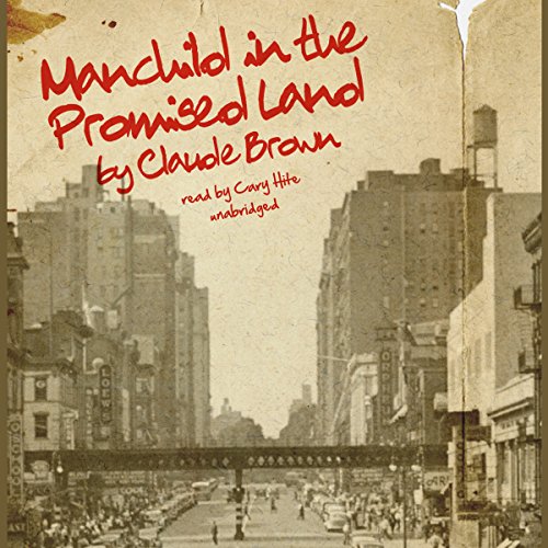 Manchild in the Promised Land