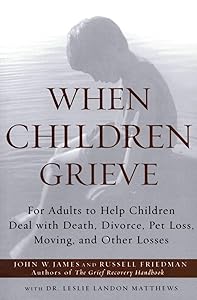 When Children Grieve: For Adults to Help Children Deal with Death, Divorce, Pet Loss, Moving, and Other Losses by John W. James