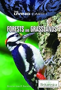 Forests and Grasslands