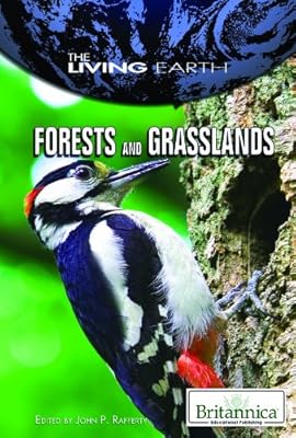 Forests and Grasslands