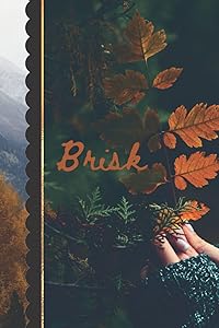 Brisk: Journal