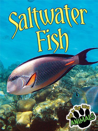 Saltwater Fish by Tom Greve