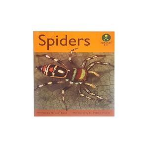 Spiders (Alphakids Plus)