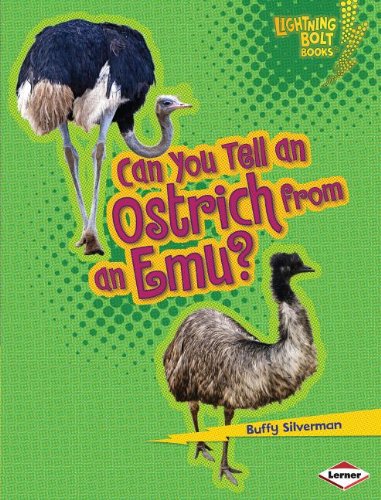 Can You Tell an Ostrich from an Emu? by Buffy Silverman
