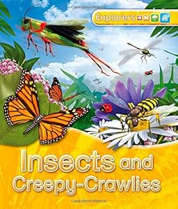 Explorers: Insects and Creepy-Crawlies