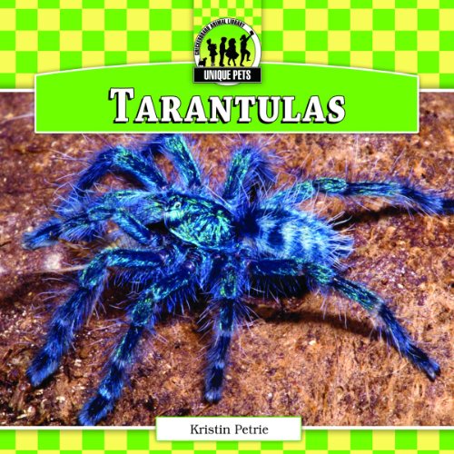Tarantulas by Kristin Petrie