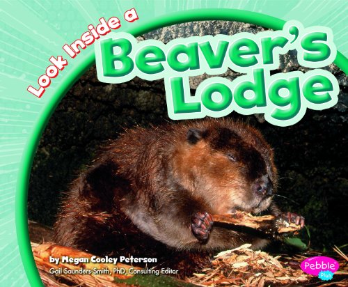 Look Inside a Beaver's Lodge by Megan Cooley Peterson