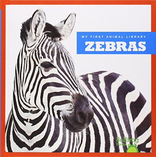 Zebras by Cari Meister