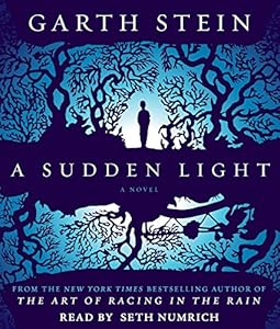 A Sudden Light: A Novel