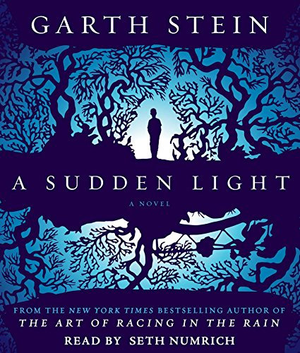 A Sudden Light: A Novel by Garth Stein