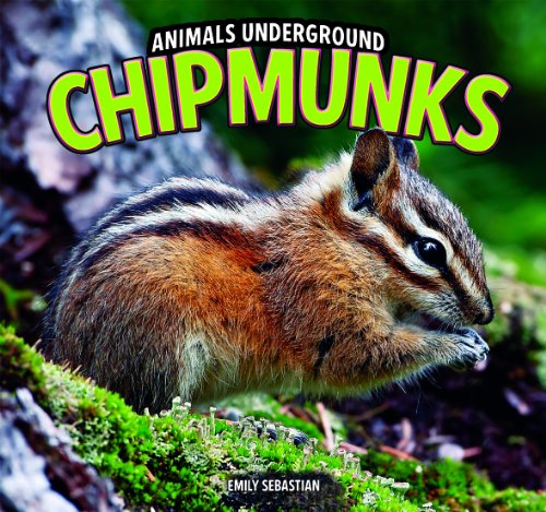 Chipmunks by Emily Sebastian