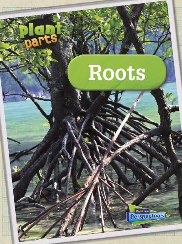 Roots by Melanie Waldron