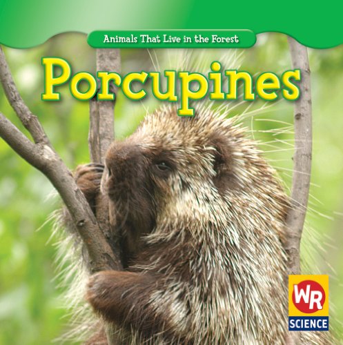 Porcupines by JoAnn Early Macken