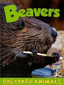 Beavers