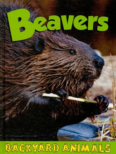 Beavers by Blaine Wiseman