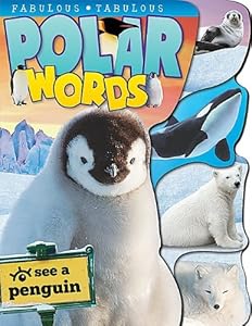 Polar Words Big Board Book