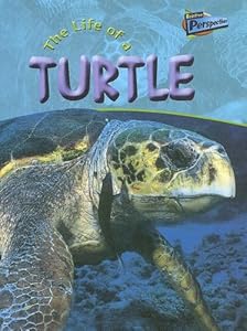 The Life of a Turtle (Raintree Perspectives)