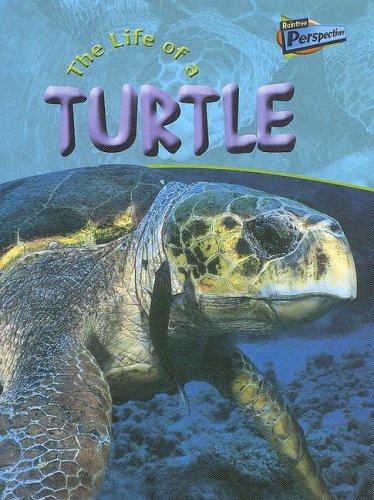 The Life of a Turtle (Raintree Perspectives) by Clare Hibbert