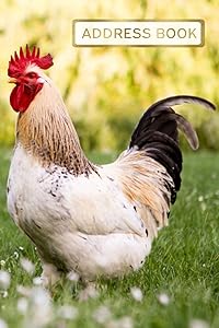 Address Book: Rooster Cover by TonyBooks Studio
