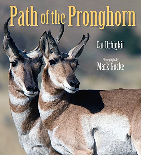Path of the Pronghorn by Cat Urbigkit