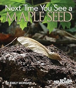 Next Time You See a Maple Seed