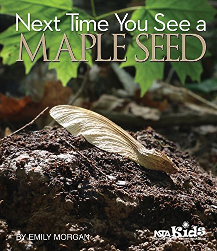 Next Time You See a Maple Seed by Emily Morgan