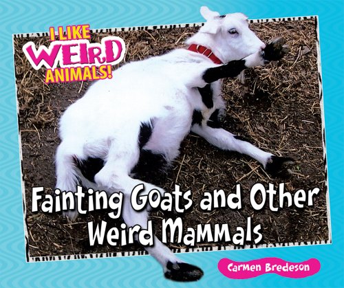 Fainting Goats and Other Weird Mammals (I Like Weird Animals!) by Carmen Bredeson