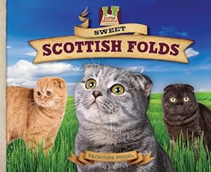 Sweet Scottish Folds