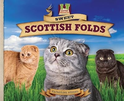 Sweet Scottish Folds