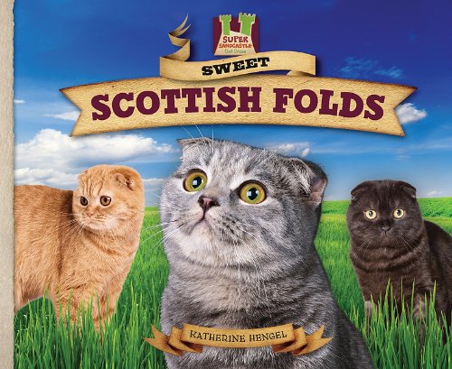 Sweet Scottish Folds by Katherine Hengel
