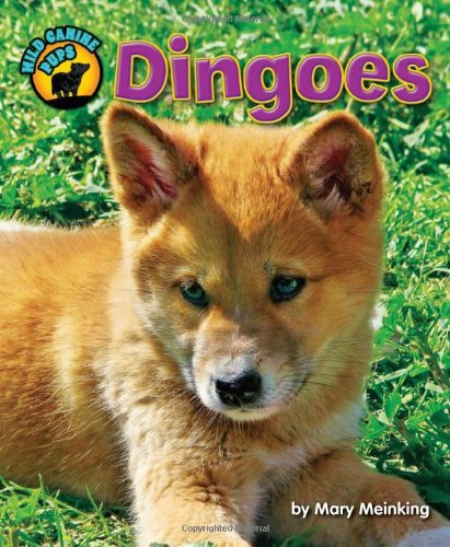 Dingoes (Wild Canine Pups) by Mary Meinking