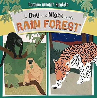 A Day and Night in the Rain Forest