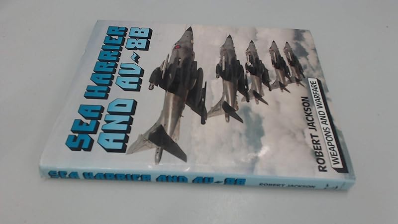 Sea Harrier and AV-88 by Robert JACKSON