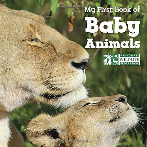 My First Book of Baby Animals by National Wildlife Federation