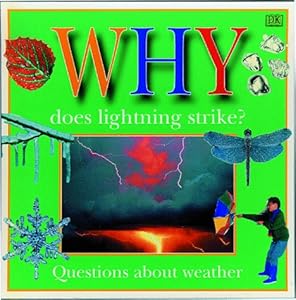 WHY DOES LIGHTNING STRIKE (Why Books)