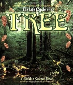 Tree (Life Cycle of A...)