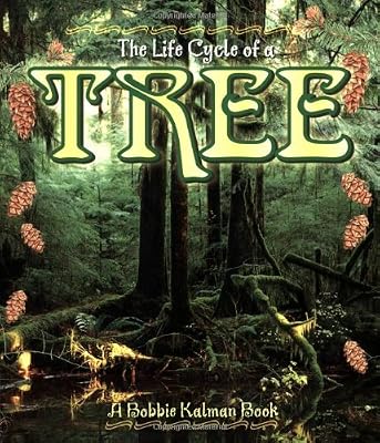 Tree (Life Cycle of A...)
