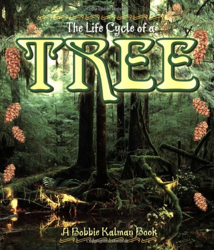 Tree (Life Cycle of A...) by Bobbie Kalman