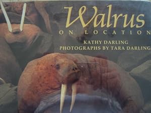Walrus: On Location by Tara Darling