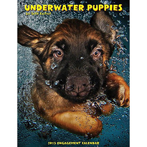 Underwater Puppies 2015 Weekly Engagement Calendar