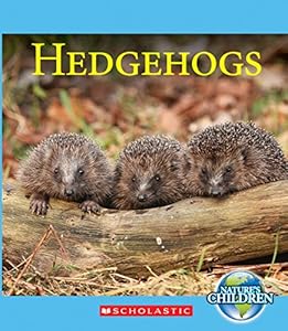 Hedgehogs