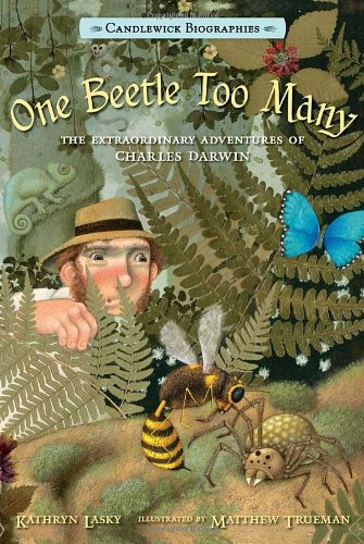 One Beetle Too Many: Candlewick Biographies: The Extraordinary Adventures of Charles Darwin by Kathryn Lasky