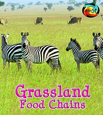 Grassland Food Chains