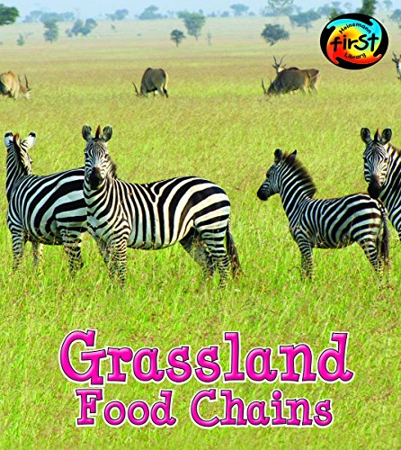 Grassland Food Chains by Angela Royston