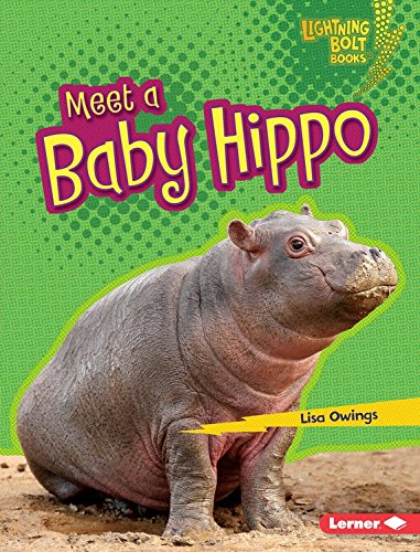 Meet a Baby Hippo by Lisa Owings