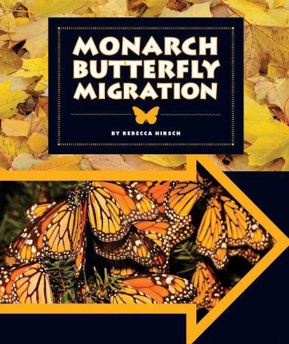 Monarch Butterfly Migration by Rebecca Hirsch