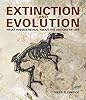 Extinction and evolution