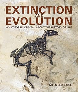 Extinction and evolution