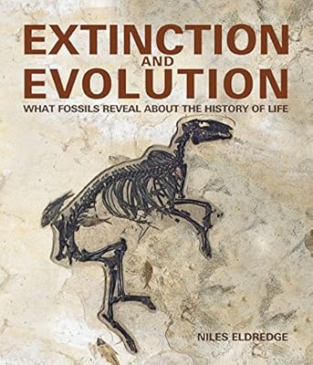 Extinction and evolution